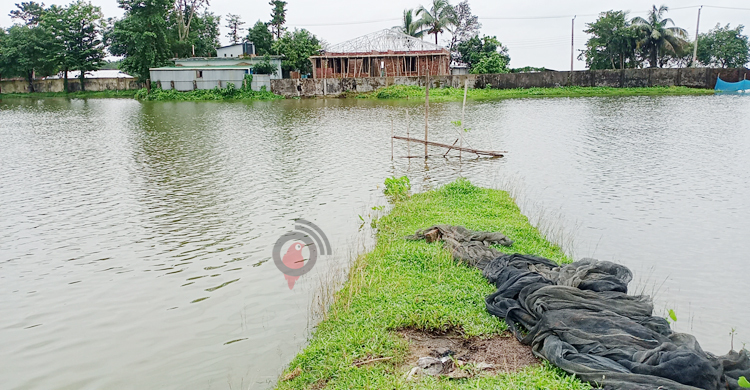 সুনামগঞ্জে বন্যায় ১২০০ পুকুর প্লাবিত, ক্ষতি ৩ কোটি টাকা