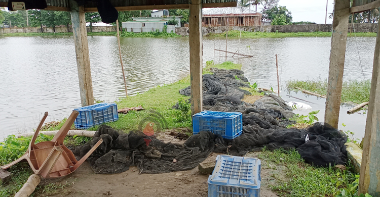 সুনামগঞ্জে বন্যায় ১২০০ পুকুর প্লাবিত, ক্ষতি ৩ কোটি টাকা