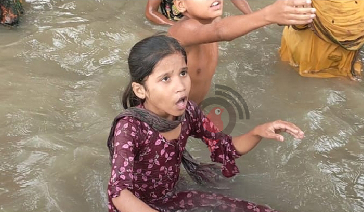 &lsquo;স্যার, একটা প্যাকেট ত্রাণ দেন, না হলে আমি মরে যাবো&rsquo;