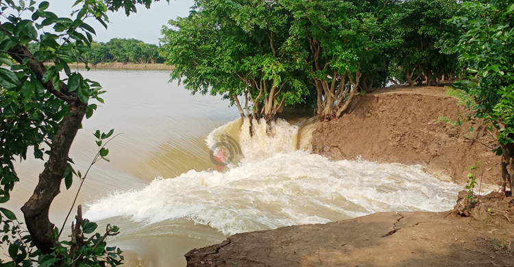 ১৫ দিনের চেষ্টায়ও রক্ষা করা গেলো না গুরমার হাওরের বাঁধ