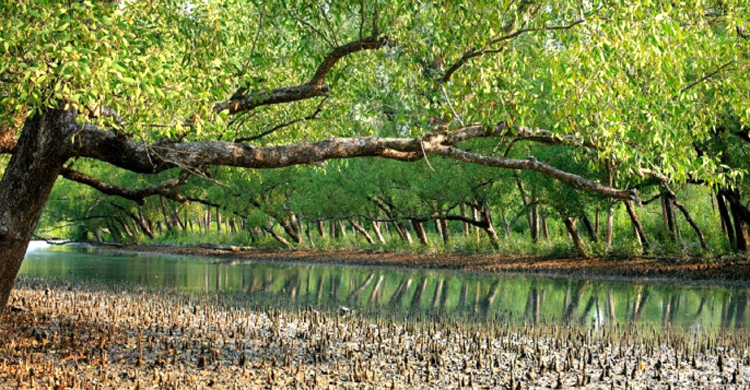 পর্যটকদের সুন্দরবনে যেতে এখনো মেলেনি অনুমতি