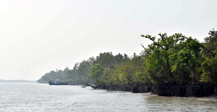 ঘূর্ণিঝড় ইয়াস : সুন্দরবনে ৮ অফিস বন্ধ ঘোষণা