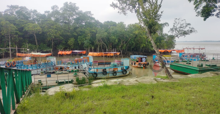 দুর্যোগ মৌসুমেও পর্যটকদের ভিড় বেড়েছে সুন্দরবনে