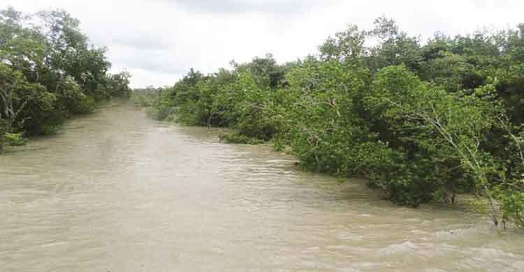 সুন্দরবন যেন মায়ের আঁচল