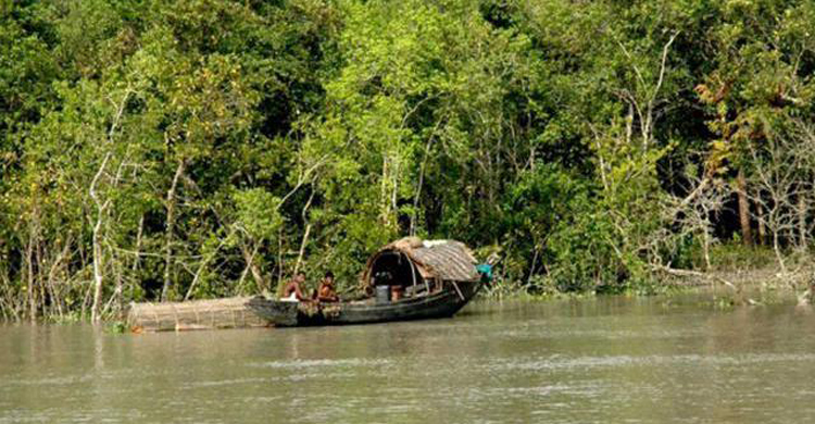আজ সুন্দরবন পরিদর্শন শুরু জাতিসংঘের যৌথ মিশনের
