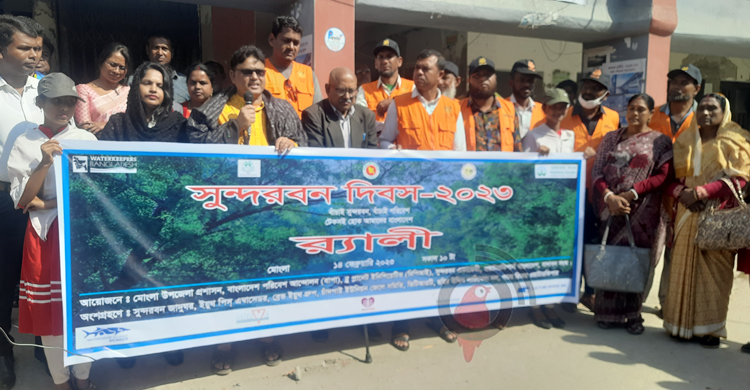 ১০০ বছরে সুন্দরবনের আয়তন কমেছে ৪৫১ বর্গ কিমি