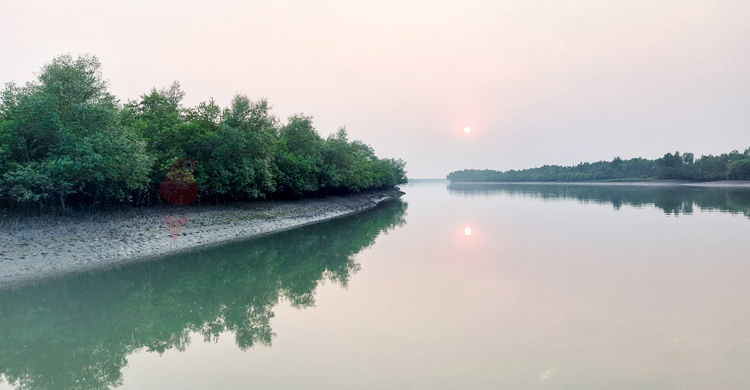 পদ্মা সেতুর সুফল মিলছে না সুন্দরবনের পর্যটন শিল্পে