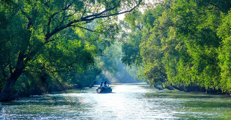 গান বাজিয়ে সুন্দরবনে, ঢাকা উত্তর ছাত্রলীগের সভাপতি আটক