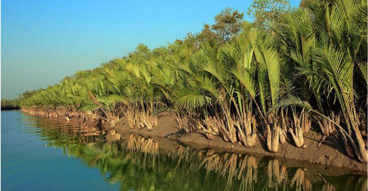 সুন্দরবন ভ্রমণে খরচ বাড়লো