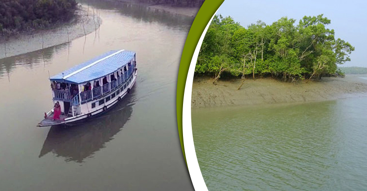 পর্যটকদের জন্য আবারো উন্মুক্ত হলো সুন্দরবন