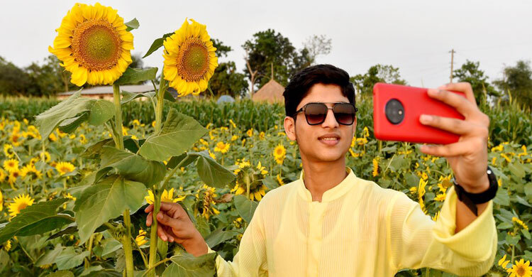 আন্তর্জাতিক গণমাধ্যমে ‘হাসছে’ ব্রাহ্মণবাড়িয়ার সূর্যমুখী