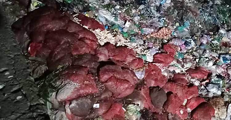 গভীর রাতে সেতুর নিচে ৭০ বস্তা পেঁয়াজ ফেলে গেলেন ব্যবসায়ী