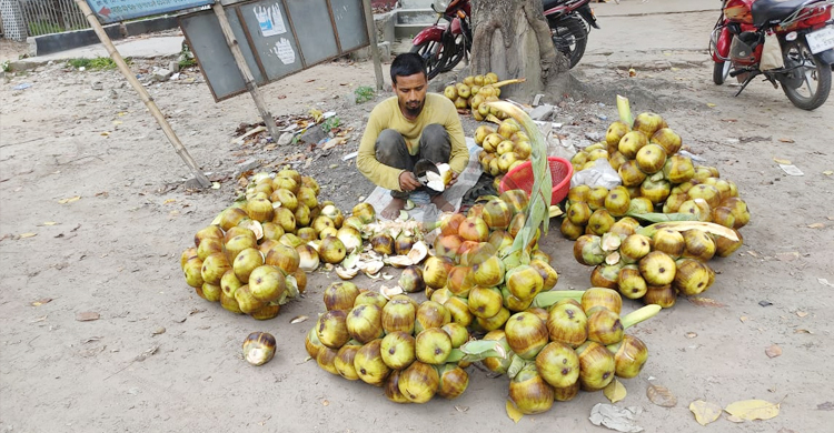 চুয়াডাঙ্গায় গরমে কদর বেড়েছে তালের শাঁসের