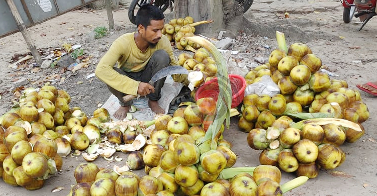 চুয়াডাঙ্গায় গরমে কদর বেড়েছে তালের শাঁসের