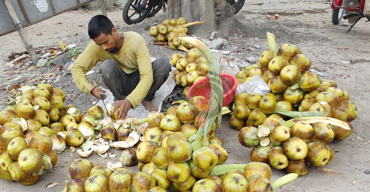 চুয়াডাঙ্গায় গরমে কদর বেড়েছে তালশাঁসের