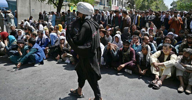 Taliban: Afghanistan bank boss warns sector near collapse