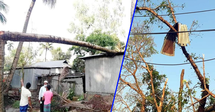 টাঙ্গাইলে ঘূর্ণিঝড়ে ফসলি জমি ও শতাধিক বসতবাড়ি বিধ্বস্ত