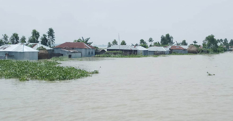 টাঙ্গাইলে বন্যার পানিতে ডুবে দুই শিশুর মৃত্যু