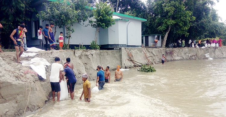 বাড়ছে যমুনা-ধলেশ্বরী-ঝিনাই নদীর পানি, থামছে না ভাঙন