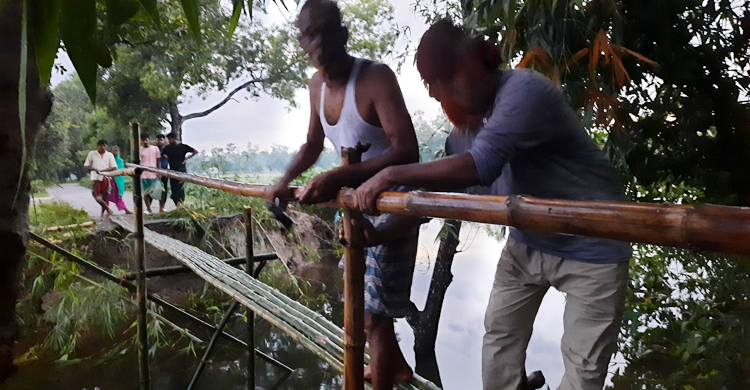 দুর্ভোগ লাঘবে বাঁশের সাঁকো বানালেন এলাকাবাসী