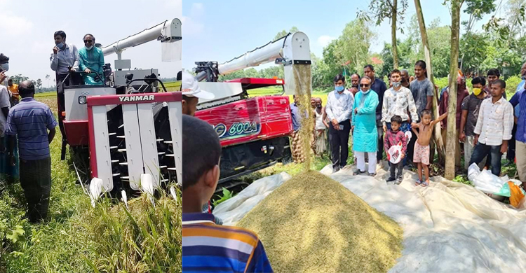 মির্জাপুরে ধান কাটলেন মেডিকেলের পরিচালক