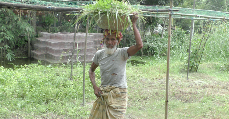 ৫০ বছর ধরে দিনমজুরি করেন সয়ান আলী
