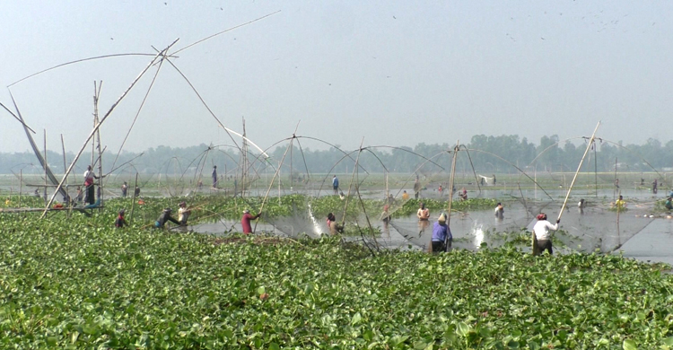 Tangail-Fishing-pic-1.jpg