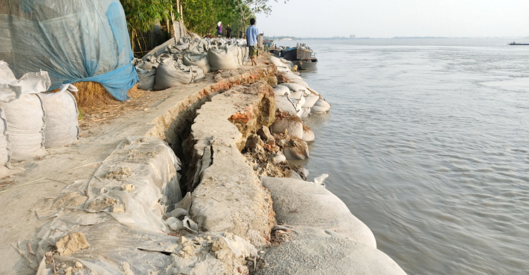 বিপৎসীমার ওপরে টাঙ্গাইলের সব নদীর পানি