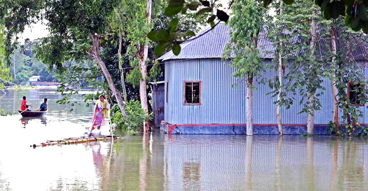 টাঙ্গাইলে দেড় লাখ মানুষ পানিবন্দি, ডুবে গেছে ফসল