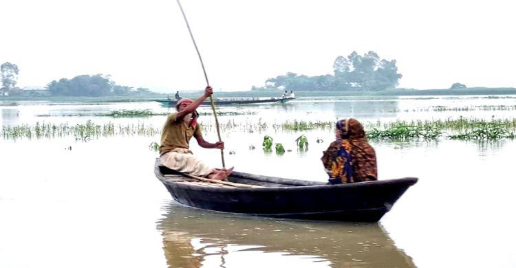 বিপৎসীমার নিচে টাঙ্গাইলের সব নদ-নদীর পানি