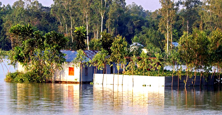 Tangail-Flood-pic