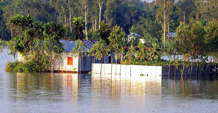 টাঙ্গাইলে ডুবে গেছে ১৩৭ গ্রাম, পানিবন্দি এক লাখ ২৪ হাজার মানুষ
