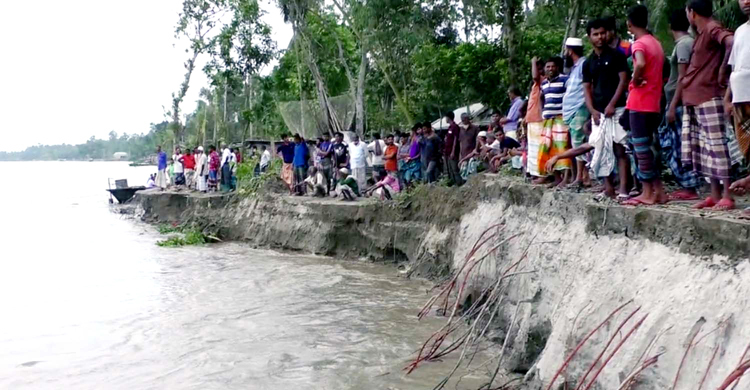 পানি কমতেই যমুনায় তীব্র ভাঙন, দিশেহারা মানুষ