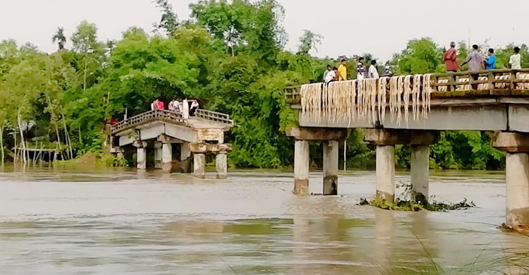 টাঙ্গাইলে ভেঙে পড়লো আরও একটি ব্রিজ