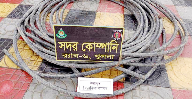 রামপাল তাপবিদ্যুৎ কেন্দ্রের ১৫৫ কেজি তার চুরি, আটক ৩