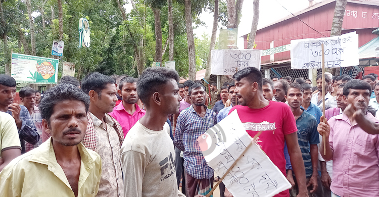আন্দোলন প্রত্যাহারের পরও ফের মিটিং-মিছিলে চা শ্রমিকরা