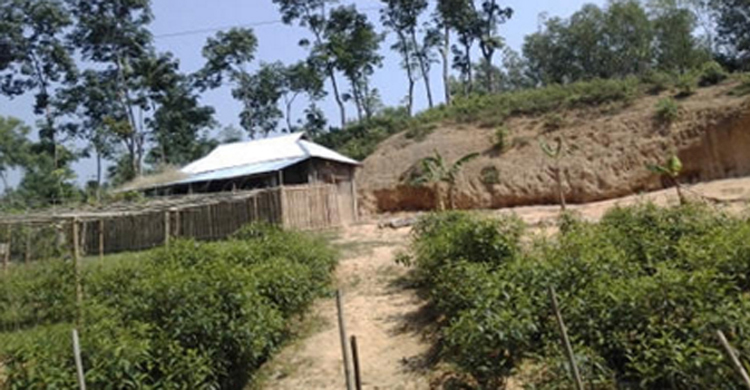 দুই নারী যাত্রীকে দলবেঁধে ধর্ষণ করল সিএনজি চালকরা