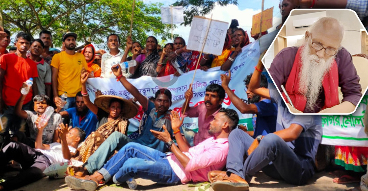 চা শ্রমিকদের মজুরি ৩০০ টাকা করার দাবি নির্মলেন্দু গুণের