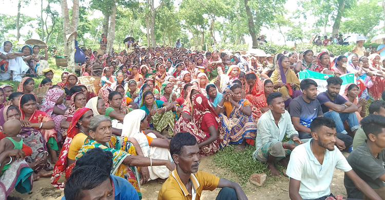 বাজারদরের সঙ্গে সঙ্গতিপূর্ণ করে চা-শ্রমিকদের মজুরি বাড়ানোর দাবি