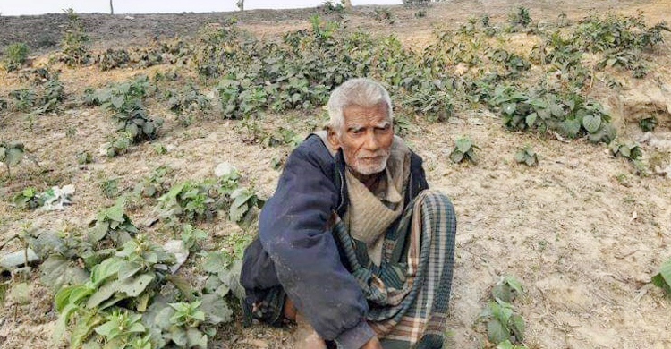 মানুষগড়া কারিগরের মানবেতর জীবন