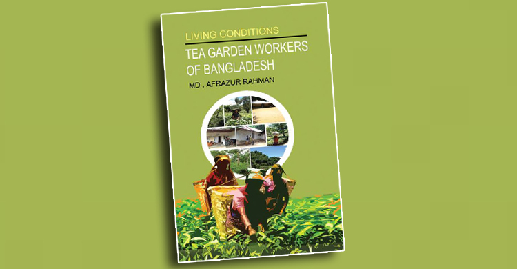 Dawn to dusk journey of tea garden community people in Bangladesh