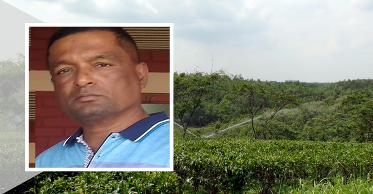 হালদাভ্যালী চা বাগানের দুই ম্যানেজার কারাগারে