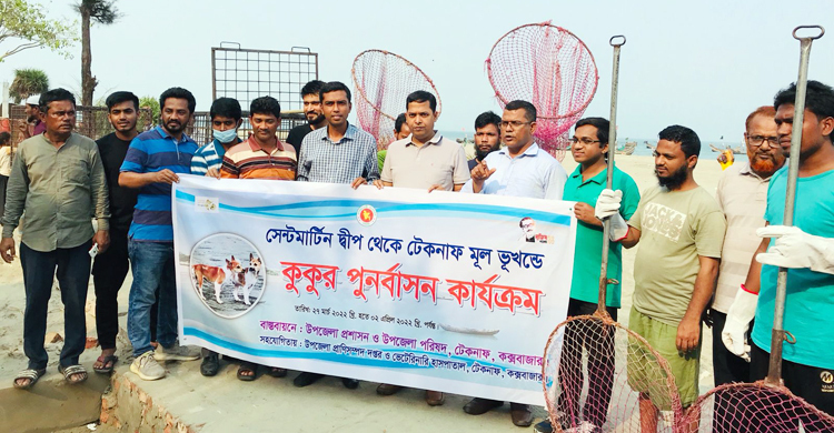 সেন্টমার্টিনের কুকুর সরিয়ে নেওয়া হচ্ছে টেকনাফে