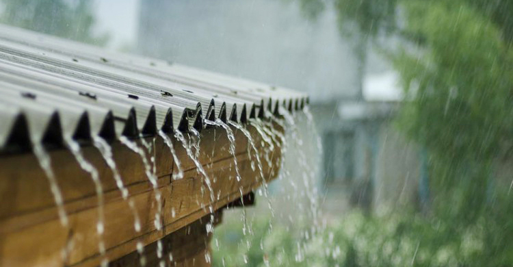 বৃষ্টি বেড়ে কমতে পারে তাপমাত্রা