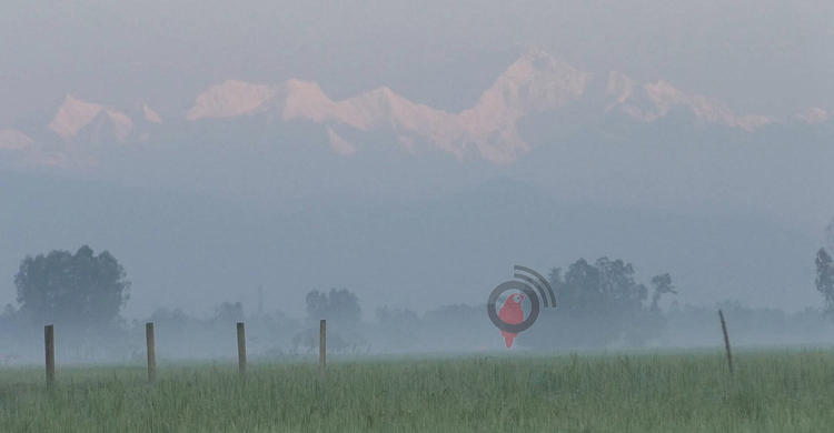 ভোর হলেই রূপ দেখাচ্ছে কাঞ্চনজঙ্ঘা
