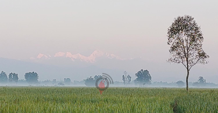 ভোর হলেই রূপ দেখাচ্ছে কাঞ্চনজঙ্ঘা