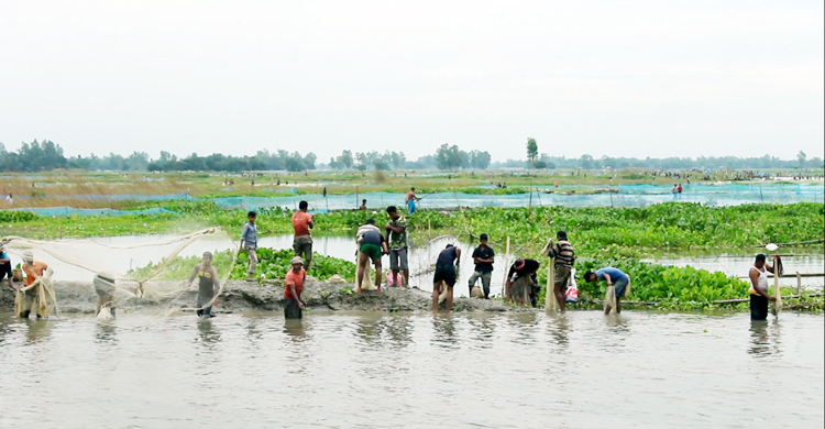 বুড়ির বাঁধে মাছ ধরতে মানুষের ঢল