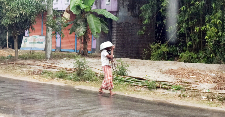 ঠাকুরগাঁওয়ে থেমে থেমে বৃষ্টিতে বাড়লো শীত