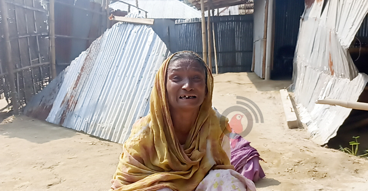 স্বামীর মৃত্যুর পর বিধবার জমি দখলে নিলেন সাবেক চেয়ারম্যান!