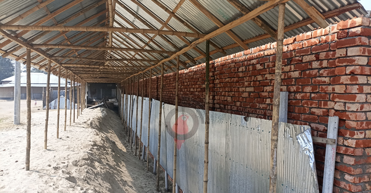 স্বামীর মৃত্যুর পর বিধবার জমি দখলে নিলেন সাবেক চেয়ারম্যান!